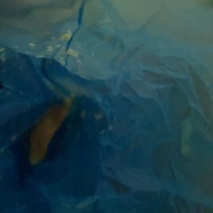 Meet your Posher, Gary